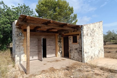 Land plot for sale in L'Ametlla de Mar, Tarragona, Spain 9398 sq.m. No. 193557 - photo 21