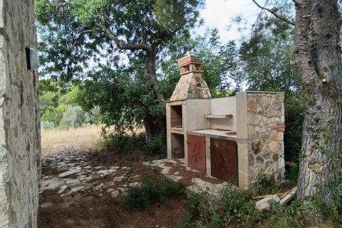 Land plot for sale in L'Ametlla de Mar, Tarragona, Spain 9398 sq.m. No. 193557 - photo 15