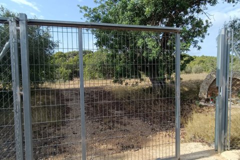 Land plot for sale in L'Ametlla de Mar, Tarragona, Spain 9398 sq.m. No. 193557 - photo 25
