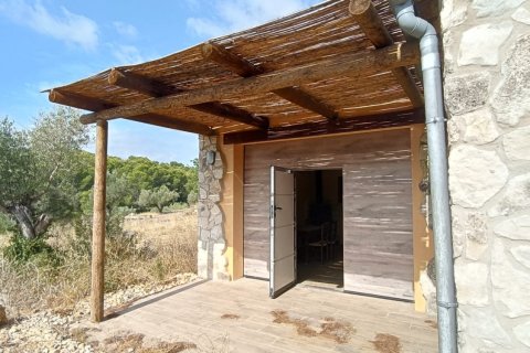 Land plot for sale in L'Ametlla de Mar, Tarragona, Spain 9398 sq.m. No. 193557 - photo 22
