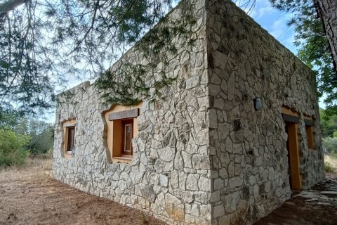 Land plot for sale in L'Ametlla de Mar, Tarragona, Spain 9398 sq.m. No. 193557 - photo 16