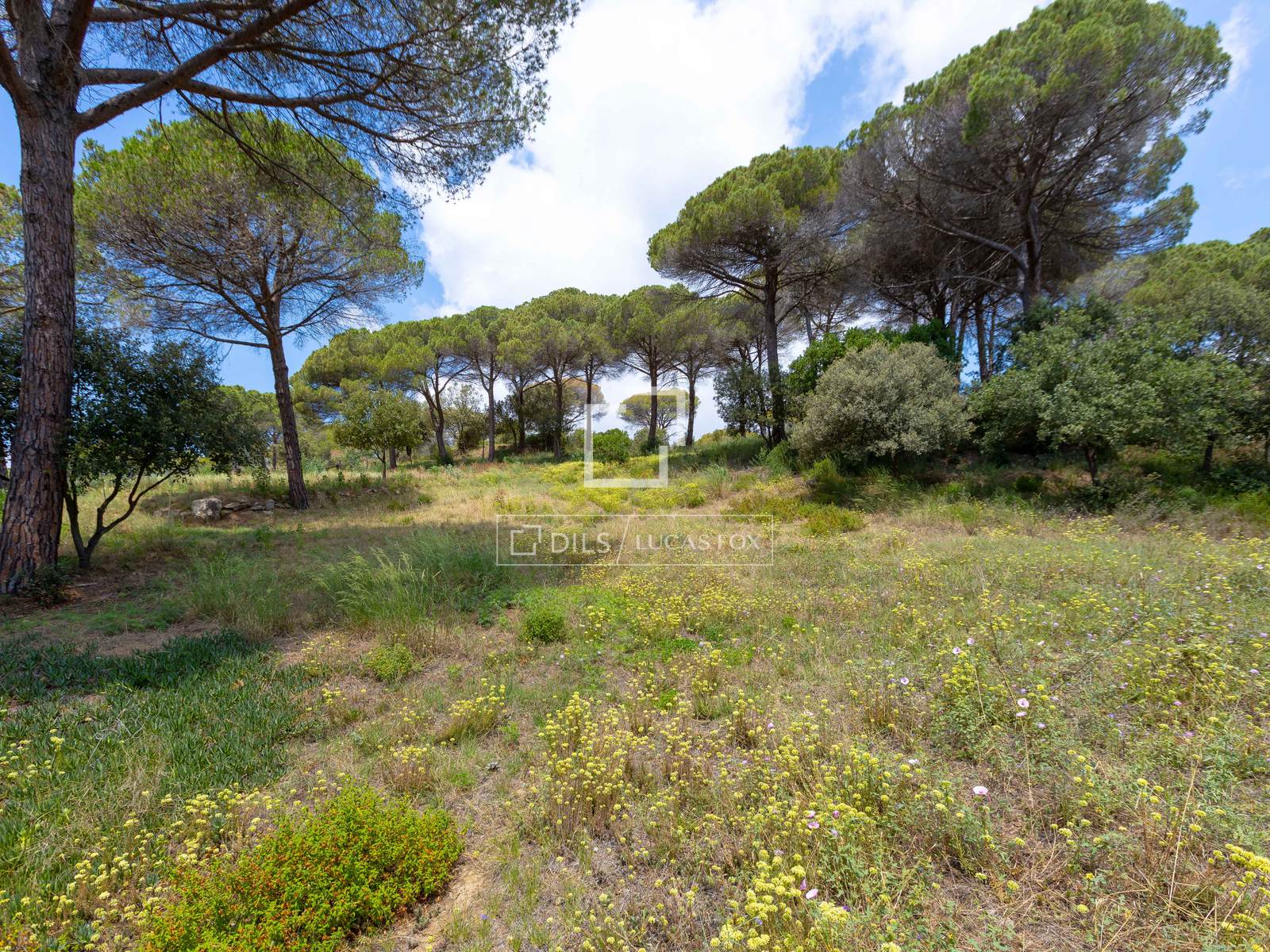 Tontti Vallromanes, Barcelona, Espanja No. 192816