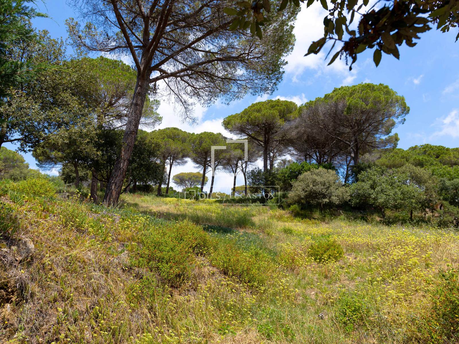Tontti Vallromanes, Barcelona, Espanja No. 192816