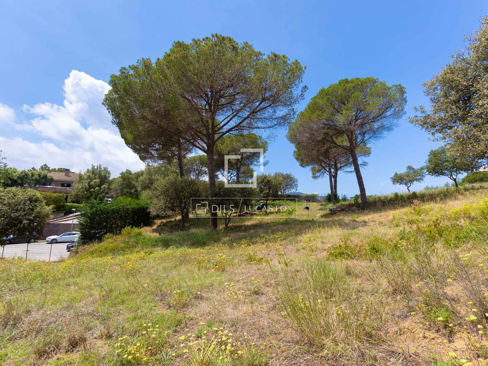 Tontti Vallromanes, Barcelona, Espanja No. 192816