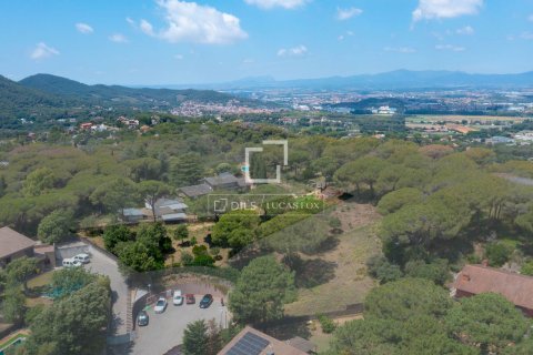 Tontti Vallromanes, Barcelona, Espanja No. 192816