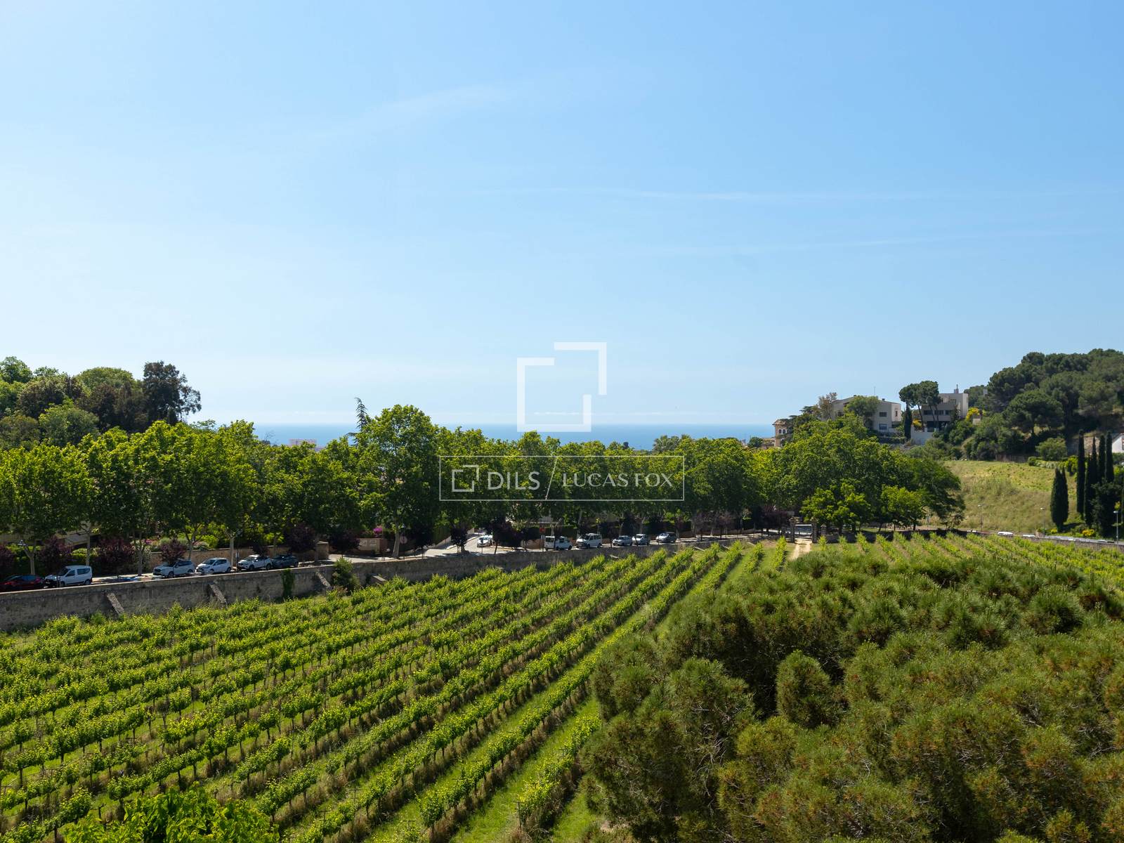 Finca a Alella, Barcelona, Spagna 10 camere da letto, 922 mq. N° 192815