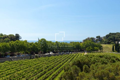 Finca myytävänä Alella, Barcelona, Espanja, 10 makuuhuonetta, 922 m2 No. 192815 - kuva 7