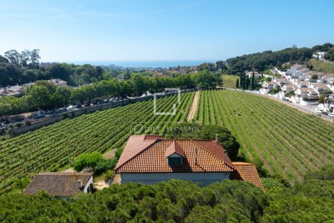 Finca myytävänä Alella, Barcelona, Espanja, 10 makuuhuonetta, 922 m2 No. 192815 - kuva 5