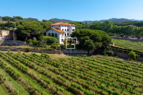 Finca myytävänä Alella, Barcelona, Espanja, 10 makuuhuonetta, 922 m2 No. 192815 - kuva 4