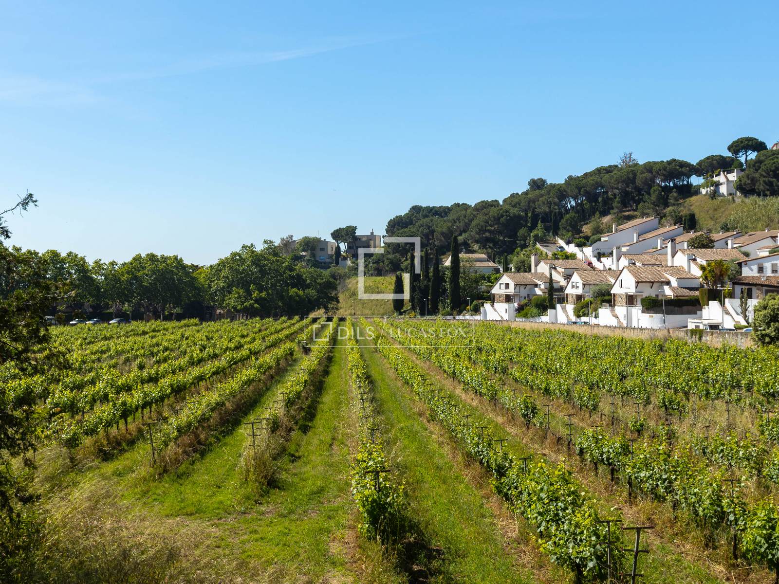 Finca a Alella, Barcelona, Spagna 10 camere da letto, 922 mq. N° 192815