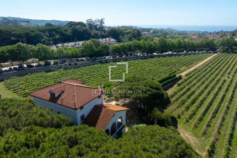 Finca myytävänä Alella, Barcelona, Espanja, 10 makuuhuonetta, 922 m2 No. 192815 - kuva 6