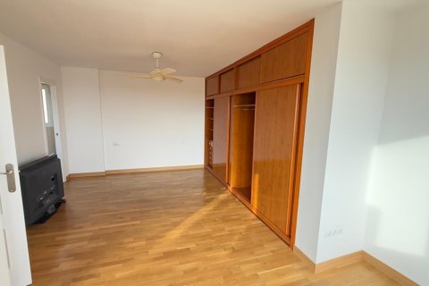 Apartment à louer à Alicante, Espagne, 2 chambres, 240 m2 No. 149396 - photo 22