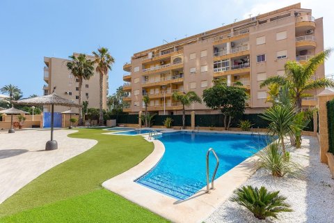 Apartment for sale in Torrevieja, Alicante, Spain 1 bedroom, 66 sq.m. No. 149397 - photo 27
