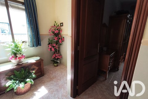 Apartament w Lucena, Cordoba, Hiszpania 3 sypialnie, 240 mkw. nr 187640 – zdjęcie 16
