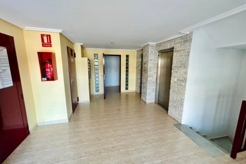 Apartment à vendre à La Mata, Alicante, Espagne, 1 chambre, 43 m2 No. 194516 - photo 26