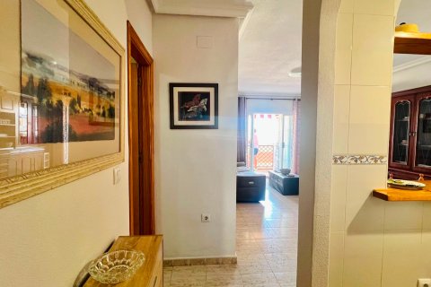 Apartment à vendre à La Mata, Alicante, Espagne, 1 chambre, 43 m2 No. 194516 - photo 3