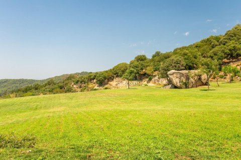 House à vendre à Sant Andreu de Llavaneres, Barcelona, Espagne, 8 chambres, No. 140811 - photo 12