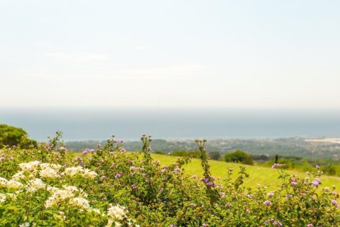 House à vendre à Sant Andreu de Llavaneres, Barcelona, Espagne, 8 chambres, No. 140811 - photo 11