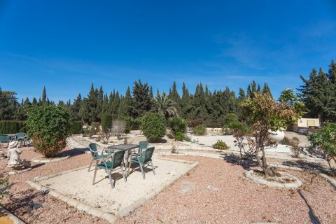 Finca for sale Los Montesinos, Alicante, Spain 6 bedrooms, 382 sq.m. No. 116085 - photo 22