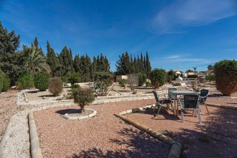 Finca for sale Los Montesinos, Alicante, Spain 6 bedrooms, 382 sq.m. No. 116085 - photo 21