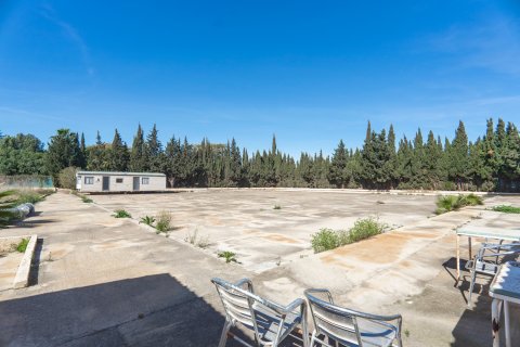 Finca for sale Los Montesinos, Alicante, Spain 6 bedrooms, 382 sq.m. No. 116085 - photo 18