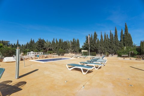 Finca for sale Los Montesinos, Alicante, Spain 6 bedrooms, 382 sq.m. No. 116085 - photo 27