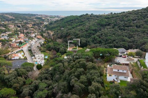 Land in Alella, Barcelona, Spanien Nr. 192625