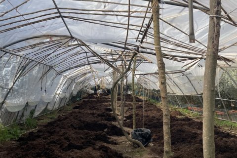 Terreno in vendita a L'Arboc, Tarragona, Spagna 26000 mq. N° 152345 - foto 9