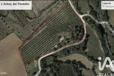 Terreno in vendita a L'Arboc, Tarragona, Spagna 26000 mq. N° 152345 - foto 14