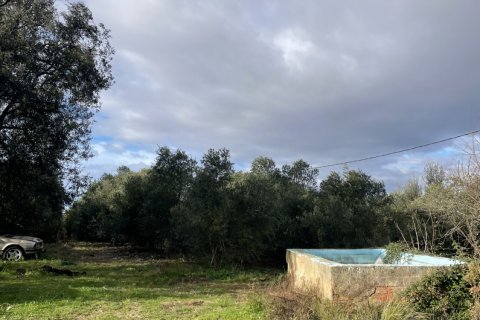 Terreno in vendita a L'Arboc, Tarragona, Spagna 26000 mq. N° 152345 - foto 5