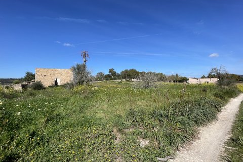 Land plot for sale in Manacor, Mallorca, Spain 15243 sq.m. No. 64855 - photo 5