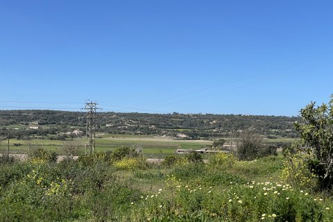 Zemes gabals pārdošanā Manacor, Mallorca, Spānijā 15243 m2 Nr. 64855 - attēls 3