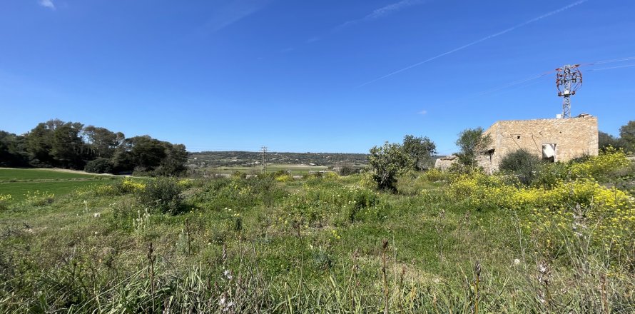 Land plot in Manacor, Mallorca, Spain 15243 sq.m. No. 64855