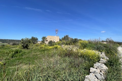 Land plot for sale Manacor, Mallorca, Spain 15243 sq.m. No. 64855 - photo 6