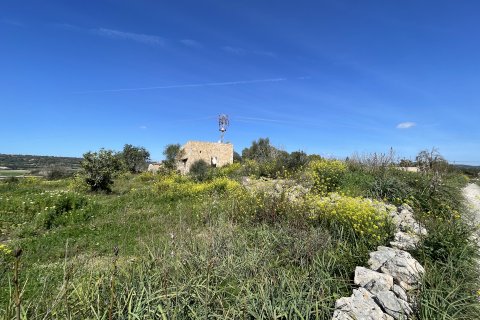 Tomt till salu i Manacor, Mallorca, Spanien 15243 kvm. Nr. 64855 - foto 6