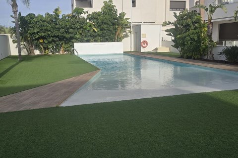 Lägenhet till salu i Pilar de la Horadada, Alicante, Spanien 2 sovrum, 78 kvm. Nr. 146910 - foto 2