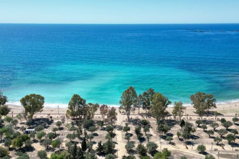 Apartment à vendre à Villajoyosa, Alicante, Espagne, 1 chambre, 61 m2 No. 180731 - photo 10