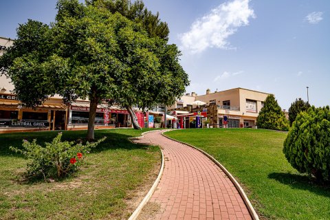 Apartment for sale in Alicante, Spain 62 sq.m. No. 165996 - photo 29