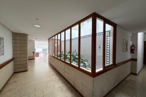 Dzīvoklis pārdošanā Torrevieja, Alicante, Spānijā 3 istabas, 113 m2 Nr. 161714 - attēls 23