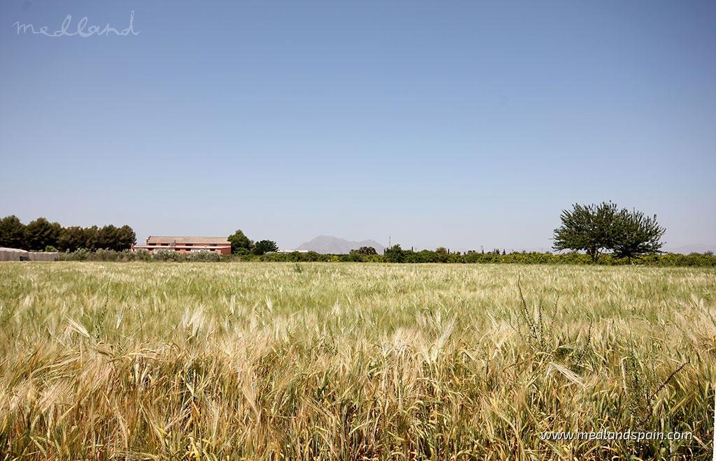 Appartamento a Benijofar, Alicante, Spagna 2 camere da letto, 66 mq. N° 49281