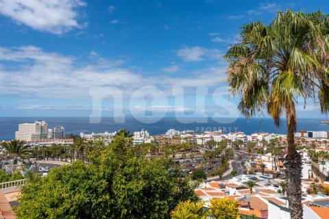 Villa till salu San Eugenio, Tenerife, Spanien 7 sovrum, 373 kvm. Nr. 138279 - foto 7
