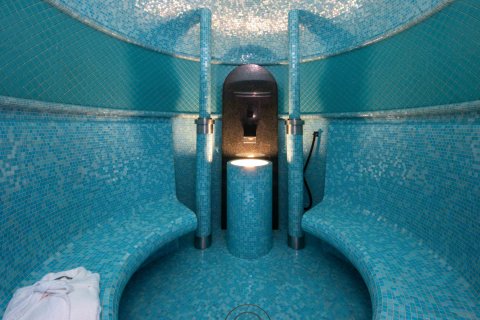 Villa for sale in Sol De Mallorca, Mallorca, Spain 5 bedrooms, 727 sq.m. No. 144599 - photo 27