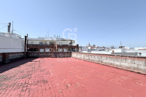 Продажа коммерческой недвижимости в Олива, Валенсия, Испания 866м2 №178976 - фото 16