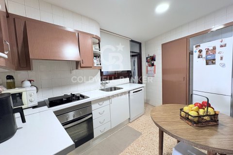 Продажа коммерческой недвижимости в Олива, Валенсия, Испания 866м2 №178976 - фото 10