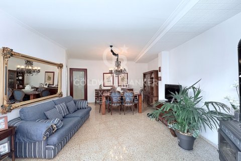 Продажа коммерческой недвижимости в Олива, Валенсия, Испания 866м2 №178976 - фото 26
