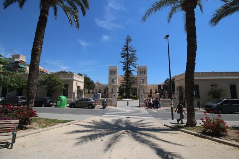 Gewerbeimmobilien zum Verkauf Alicante, Spanien 24 Schlafzimmer, 1280 m2 Nr. 116787 - Foto 10