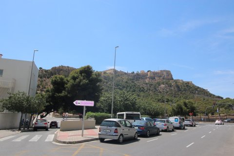 Gewerbeimmobilien zum Verkauf Alicante, Spanien 24 Schlafzimmer, 1280 m2 Nr. 116787 - Foto 13
