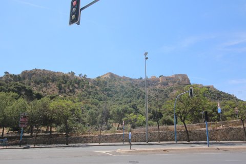 Gewerbeimmobilien zum Verkauf Alicante, Spanien 24 Schlafzimmer, 1280 m2 Nr. 116787 - Foto 15