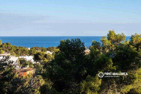 Willa w Costa D'en Blanes, Mallorca, Hiszpania 5 sypialni, 334 mkw. nr 182701 – zdjęcie 27