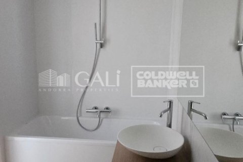 Lägenhet för uthyrning i Principado De Andorra (Ninguna Poblacion Tiene C.P.), Lleida, Spanien 2 sovrum, 116 kvm. Nr. 160456 - foto 12
